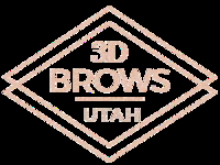 3D  Brows