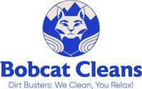 Bobcat Cleans Service