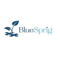BlueSprig Stone Oak - ABA Therapy for Autism