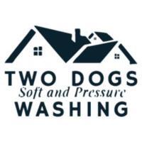 Two Dogs  Washing