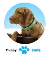 Puppysafe  avis