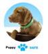 Puppysafe  avis