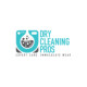 Dry Cleaning Pros