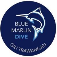 Blue Marlin  Dive