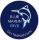 Blue Marlin  Dive