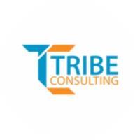Tribe Consulting