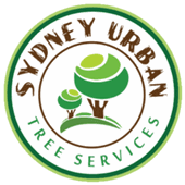 Sydney Urban Tree