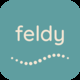 Team Feldy