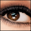 BrocktonEyeCare