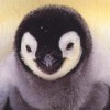 jaymesmommy2004