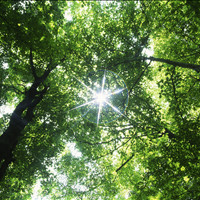 Susan Schnuerer, APN