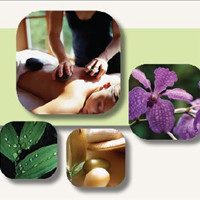 AvaniMassage
