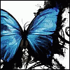 littlebutterfly