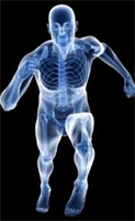Cellgevity Ingredients