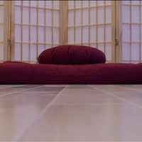 coolmoonyoga