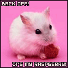 msbroach
