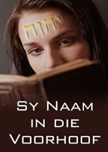 thumbnail (Thumbnail)