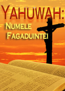 thumbnail (Thumbnail)