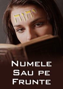 thumbnail (Thumbnail)