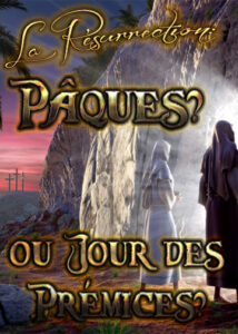 thumbnail (Thumbnail)