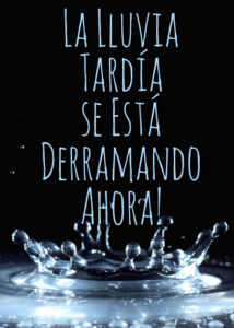 thumbnail (Thumbnail)