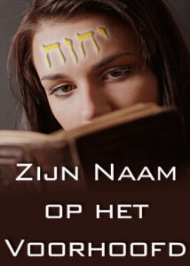 thumbnail (Thumbnail)