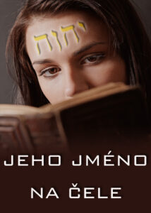 thumbnail (Thumbnail)