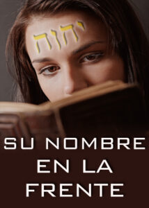 thumbnail (Thumbnail)