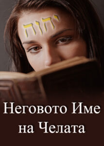 thumbnail (Thumbnail)