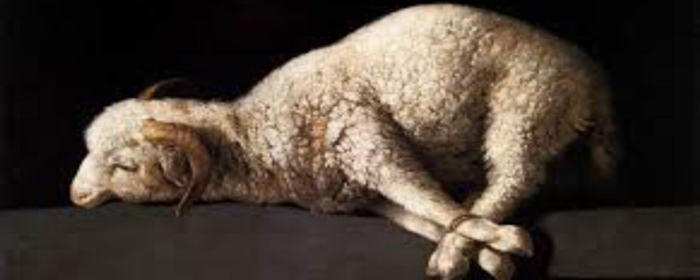 Zituuzyo-zya-Banyama