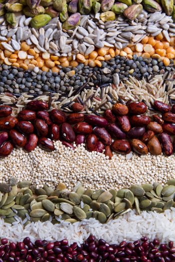 céréales et grains