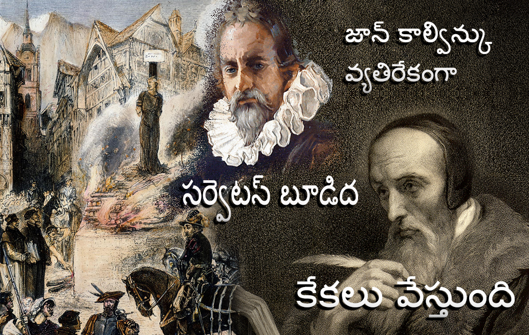 జాన్ కాల్విన్కు వ్యతిరేకంగా సర్వెటస్ బూడిద కేకలు వేస్తుంది