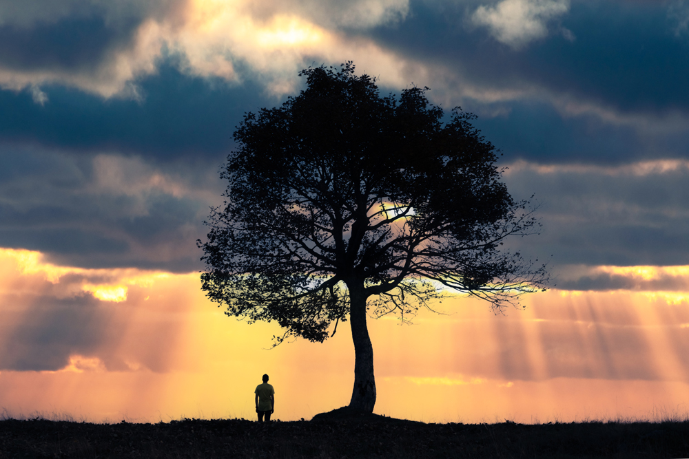 humano-debaixo-de-uma-árvore-majestosa