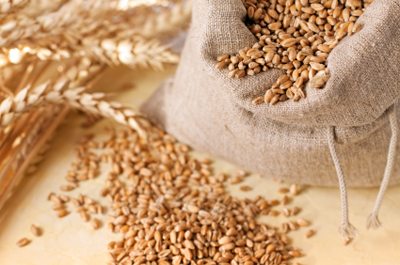 bag of grain