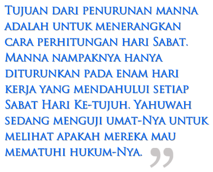 Bulan-bulan Baru &#038; Manna | Sebuah Pola di Padang gurun image