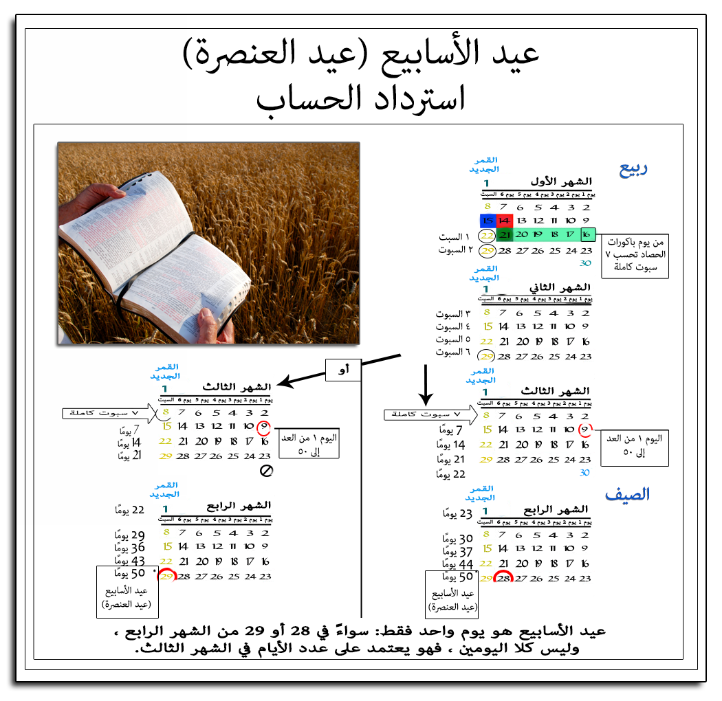 مخطط حساب العنصرة