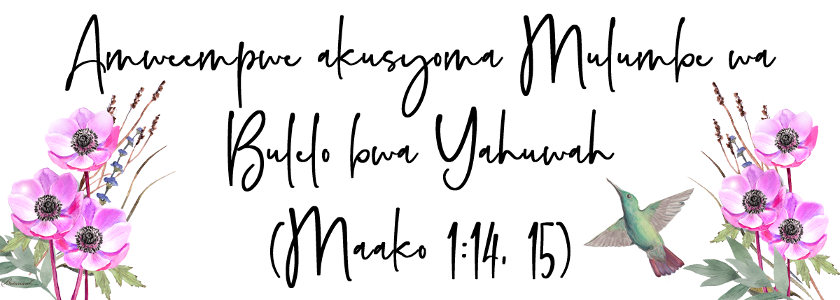 Lyaamba Nzi Bbaibbele Noliti “Kukambauka Mulumbe” image