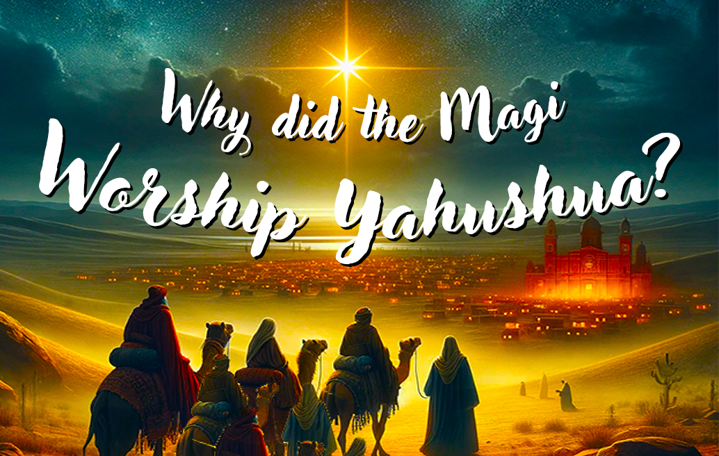 why-did-the-magi-worship-yahushua
