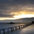 maccharedbean, Malaysia