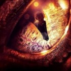 zmey, United States of America