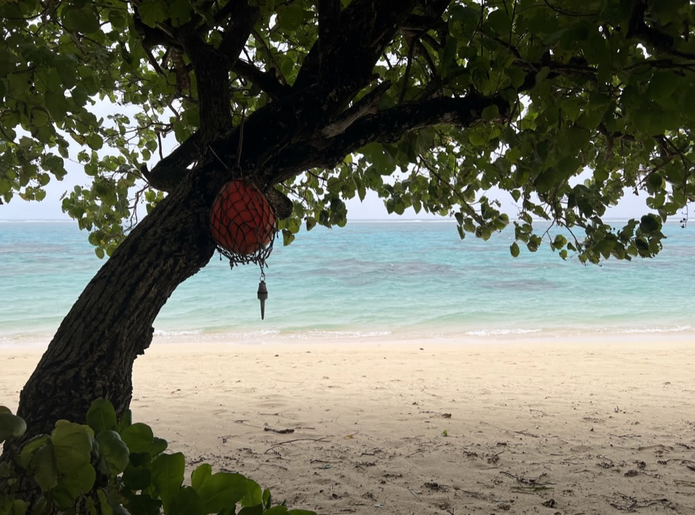 Quiet Rarotonga beach with pale sand and turquoise water, seen from under a leafy tree with a red float hanging from its branches.