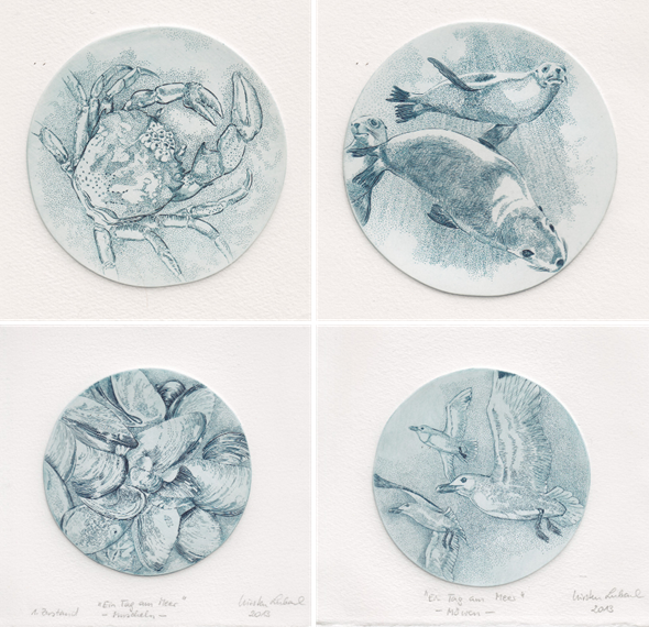 A selection of four sketches of sea life: a crab, two seals, mussels and seagulls