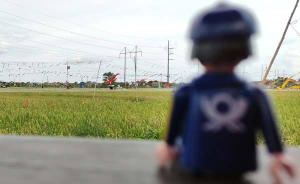 One of the Little Mail Carriers sits looking out at a rice paddy, where coloured flags are waving at intervals