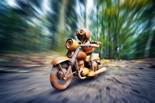 acorn elf on a motorcycle on a road with the forest seemingly whirring by