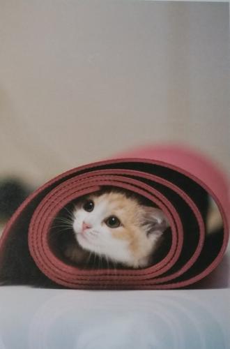 PostCrossing Sent to Russia - Esther Neela Blog