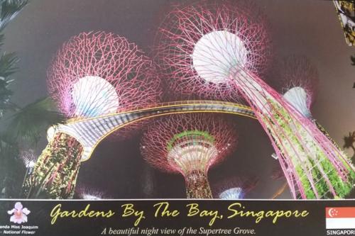 PostCrossing Sent to USA - Esther Neela Blog