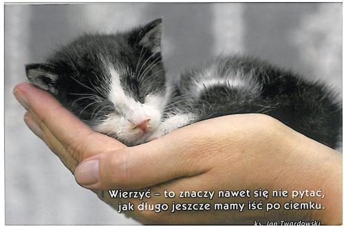 PostCrossing Received from Poland - Esther Neela Blog