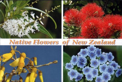 http://s3.amazonaws.com/static2.postcrossing.com/postcard/medium/4ae9cc391ce0288ac07616b6356b2be7.jpg