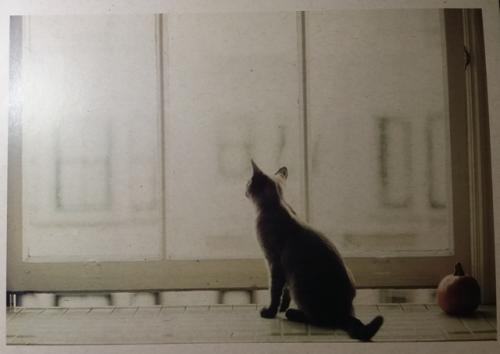 PostCrossing Sent to Spain - Esther Neela Blog