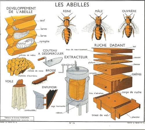 [Obrazek: 93c6c8ba4e70d806f0262907f7f75077.jpg]